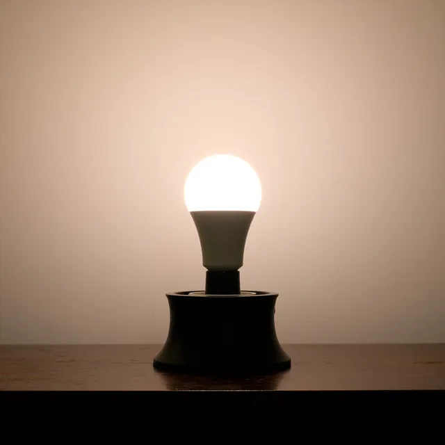 Chroma The Bulb
